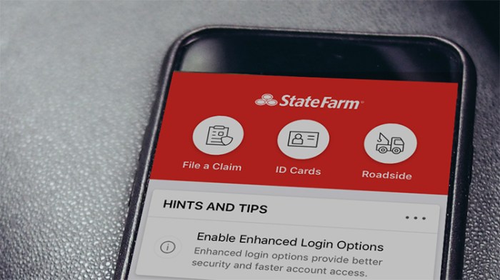 State Farm auto insurance no down payment