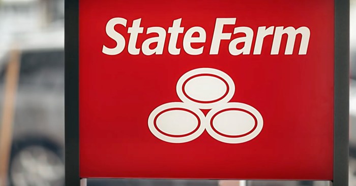 State Farm auto insurance multi-policy discount