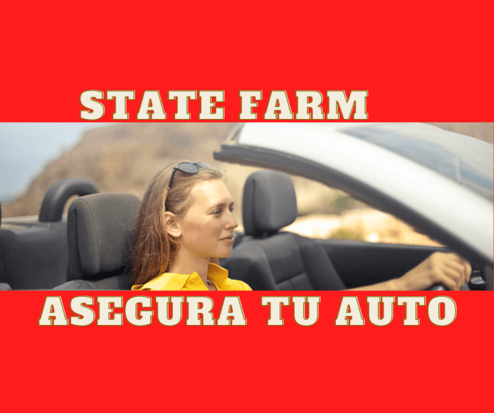 State Farm auto insurance multi-car discount