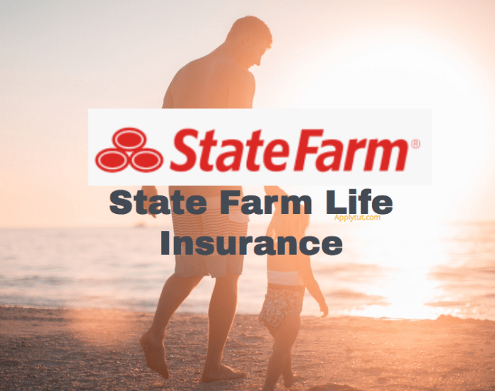 State Farm insurance for high-net-worth individuals