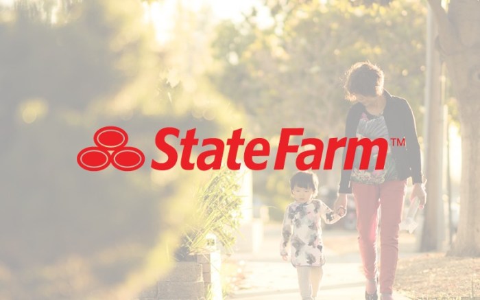 State Farm insurance for high-net-worth individuals