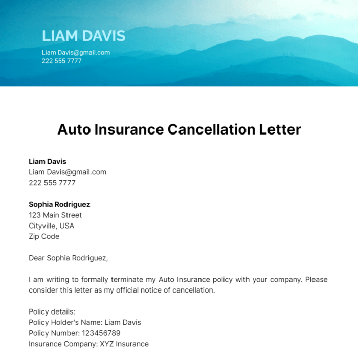 State Farm auto insurance cancellation policy