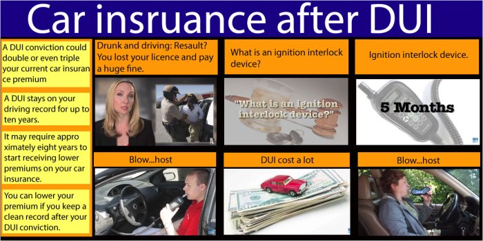 State Farm premium car insurance after DUI