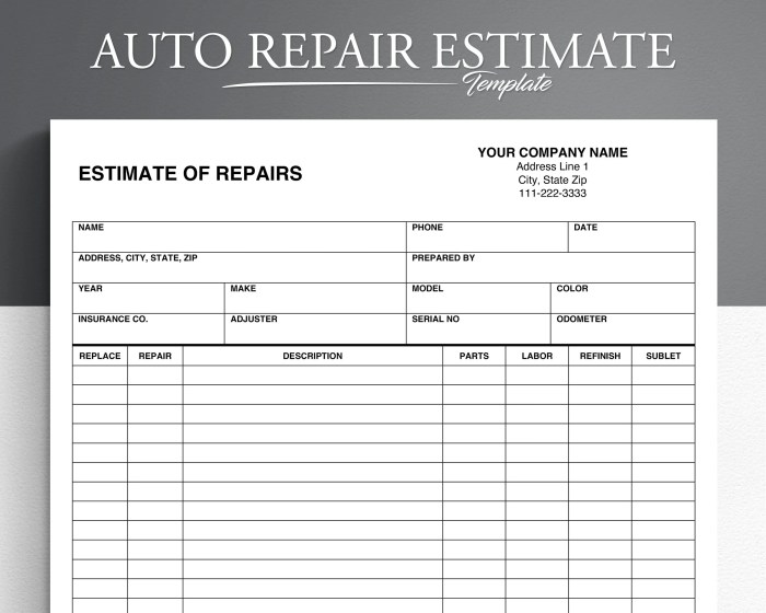 State Farm collision coverage estimate