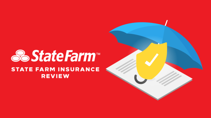 State Farm auto insurance quotes online