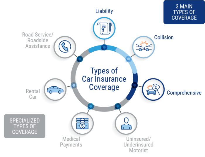 State Farm full coverage car insurance options