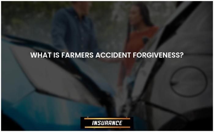 State Farm accident forgiveness policy